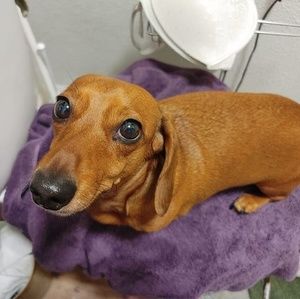 Meet your Posher, Donna